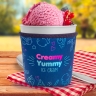 Full Color Neoprene Ice Cream Pint Sleeves - Neoprene Pint Sleeves