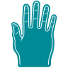 Teal - Sports

