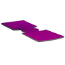 Fuchsia - 