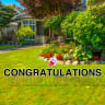 Pre-Packaged Congratulations Yard Letters - Yard Letters