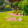 Pre-Packaged It's A Girl Yard Letters - Yard Letters