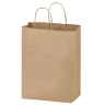 Double Wine Kraft Bag - Paper Bags