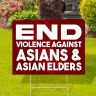 End Violence Against Asians Yard Signs - Aapi