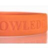 Knowledge Wristbands - 