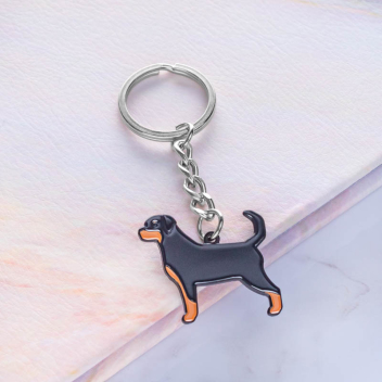Custom Soft Enamel Metal Keychains