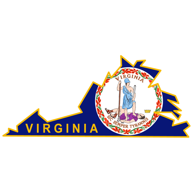 Virginia Stock Lapel Pins State Lapel Pins