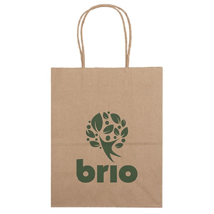 8 x 10.5 Inch Eco Shopper Mini Paper Gift Bags - Paper Bags