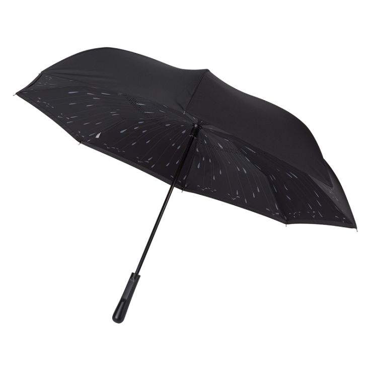 Black - White - Umbrellas-general