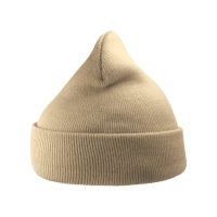 Atlantis Headwear Sustainable 12" Knit Beanie - WIND