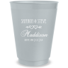 Frosted Silver -