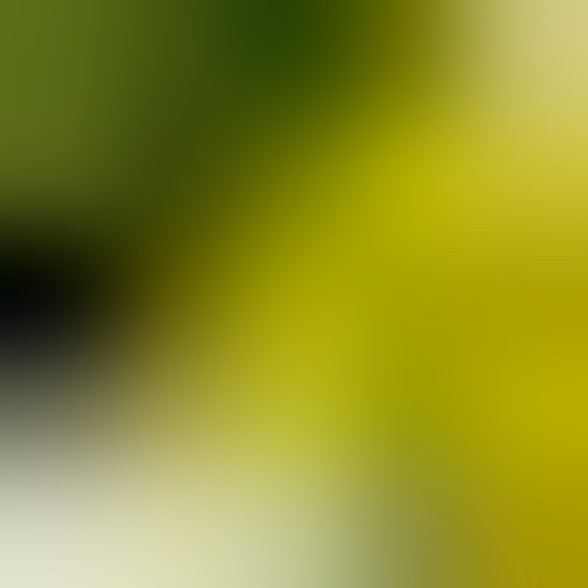 Custom Keep Moving Forward MLK Yard Signs 24HourWristbands Com