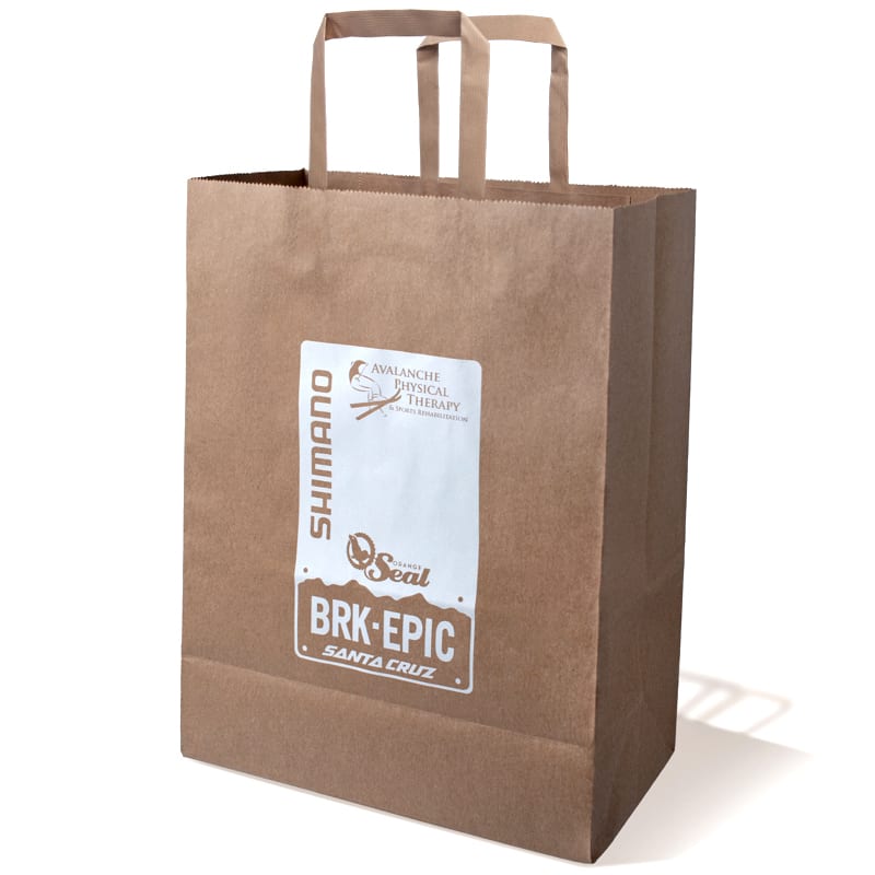 10 X 13 Inch Custom Paper Shopping Bag With Handles