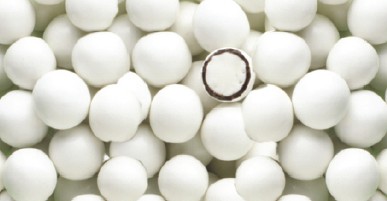 Gourmet Chocolate Mints-White Candy Shell - Candy-chocolate
