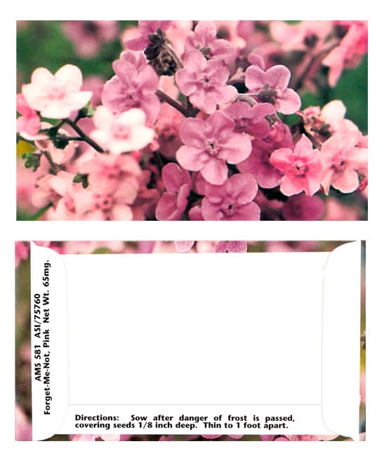 Business Card Pink Forget-Me-Not Seeds - Flowers
