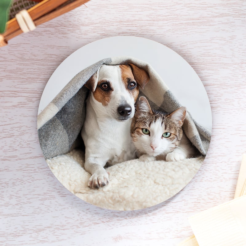 Photo Coasters
