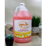 Antibacterial Foam Hand Soap 1 Gallon Made In USA - Antibacterial Foam Hand Soap, Hand Soap, Antibacterial