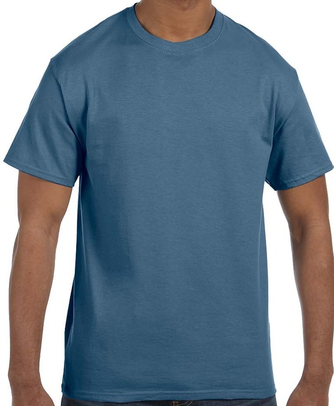 Hanes Men's Authentic-T T-Shirt | Short Sleeve T-Shirts ...