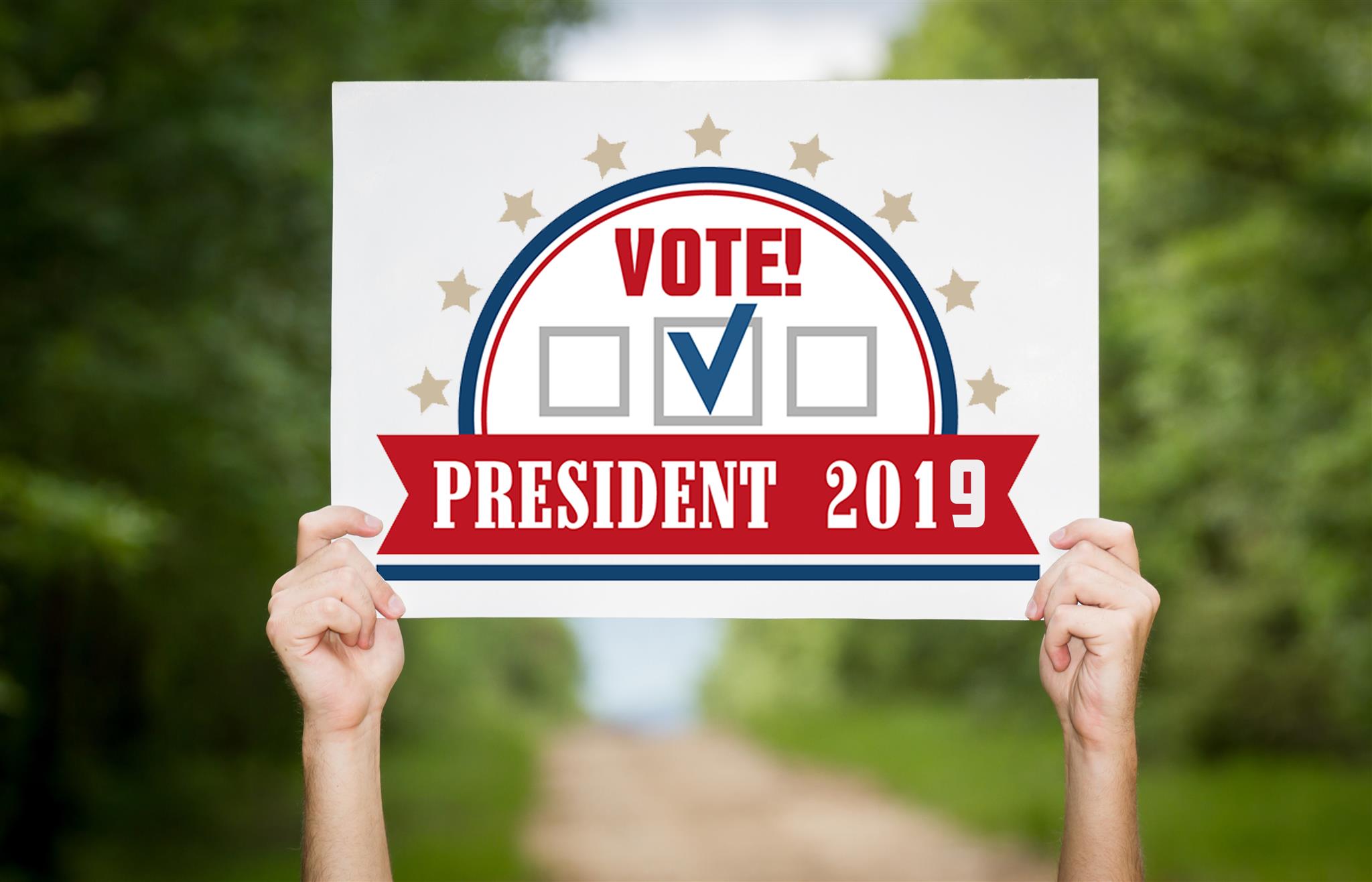 Hand Held Rally Political Election Campaign Signs Custom Yard Signs